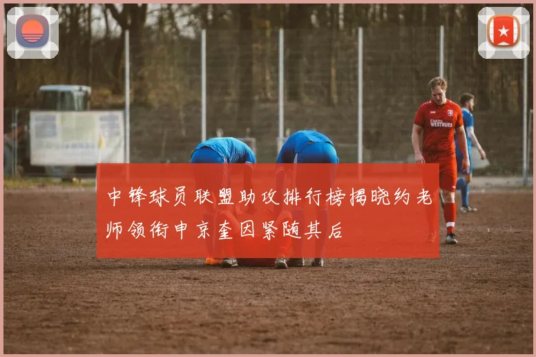 中锋球员联盟助攻排行榜揭晓约老师领衔申京奎因紧随其后