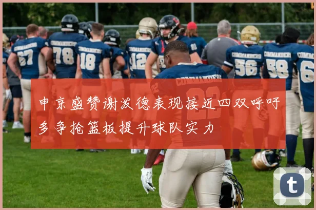 申京盛赞谢泼德表现接近四双呼吁多争抢篮板提升球队实力