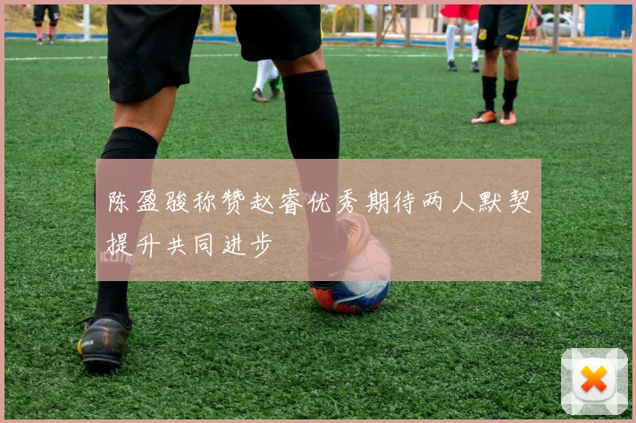 陈盈骏称赞赵睿优秀期待两人默契提升共同进步