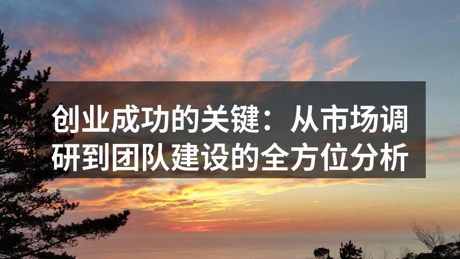 创业成功的关键：从市场调研到团队建设的全方位分析