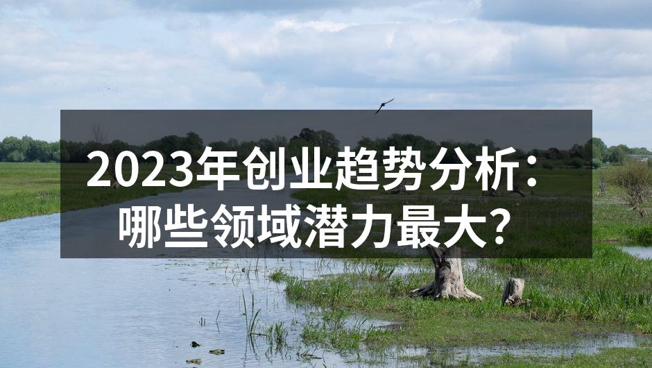 2023年创业趋势分析：哪些领域潜力最大？